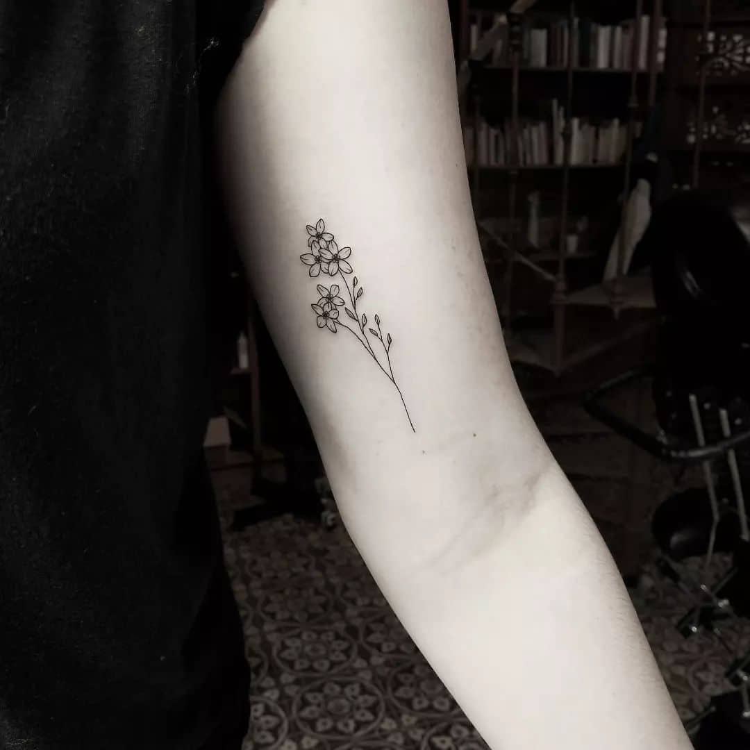 Anni Blahunka - Inksane Tattoo & piercing