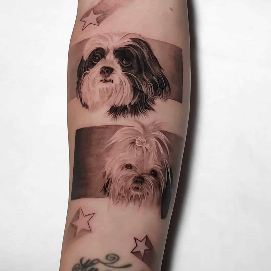 Top 50+ Shih Tzu Tattoos of All-Time | Dog memorial tattoos, Dog tattoos,  Dog paw tattoo